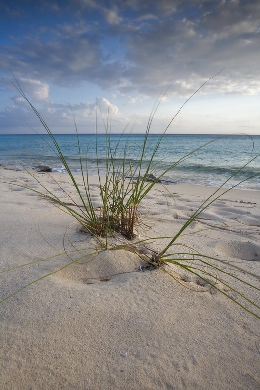 Пляж на острове Крукед Айленд, Багамские острова – фотографии Багамских островов