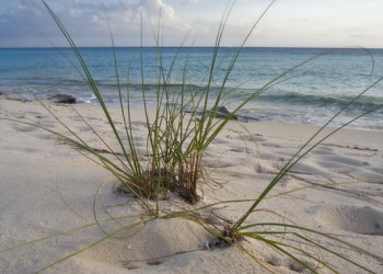 Пляж  на острове Крукед  Айленд, Багамские острова – фотографии Багамских островов