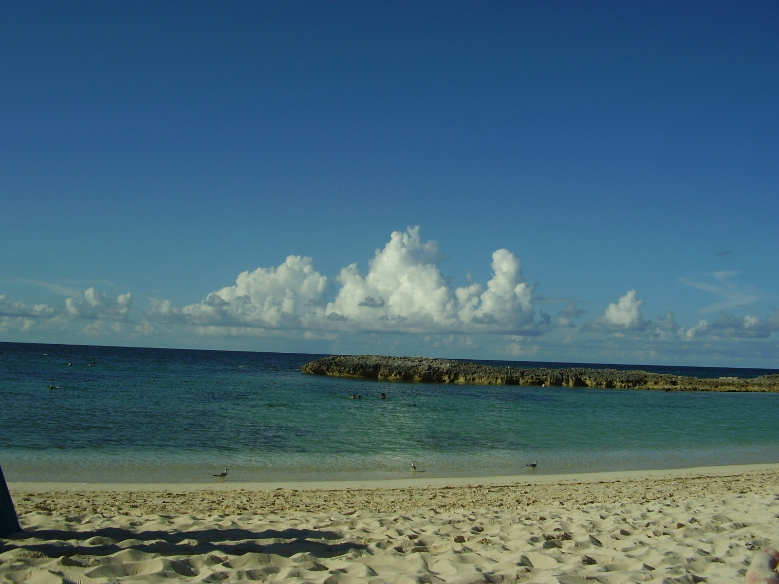 Пляж на острове Парадайз Айленд, Багамские острова. Фото 4 – фотографии Багамских островов