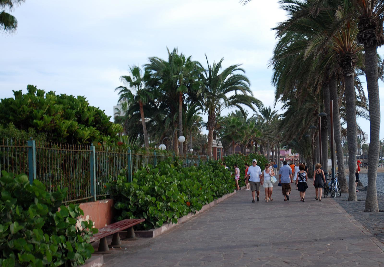 Плайя-де-лас-Америкас, Тенерифе остров, Канарские острова, фото № 33556 – фотографии Канарских островов