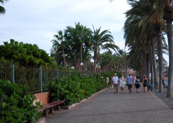 Плайя-де-лас-Америкас, Тенерифе остров, Канарские острова, фото № 33556 – фотографии Канарских островов