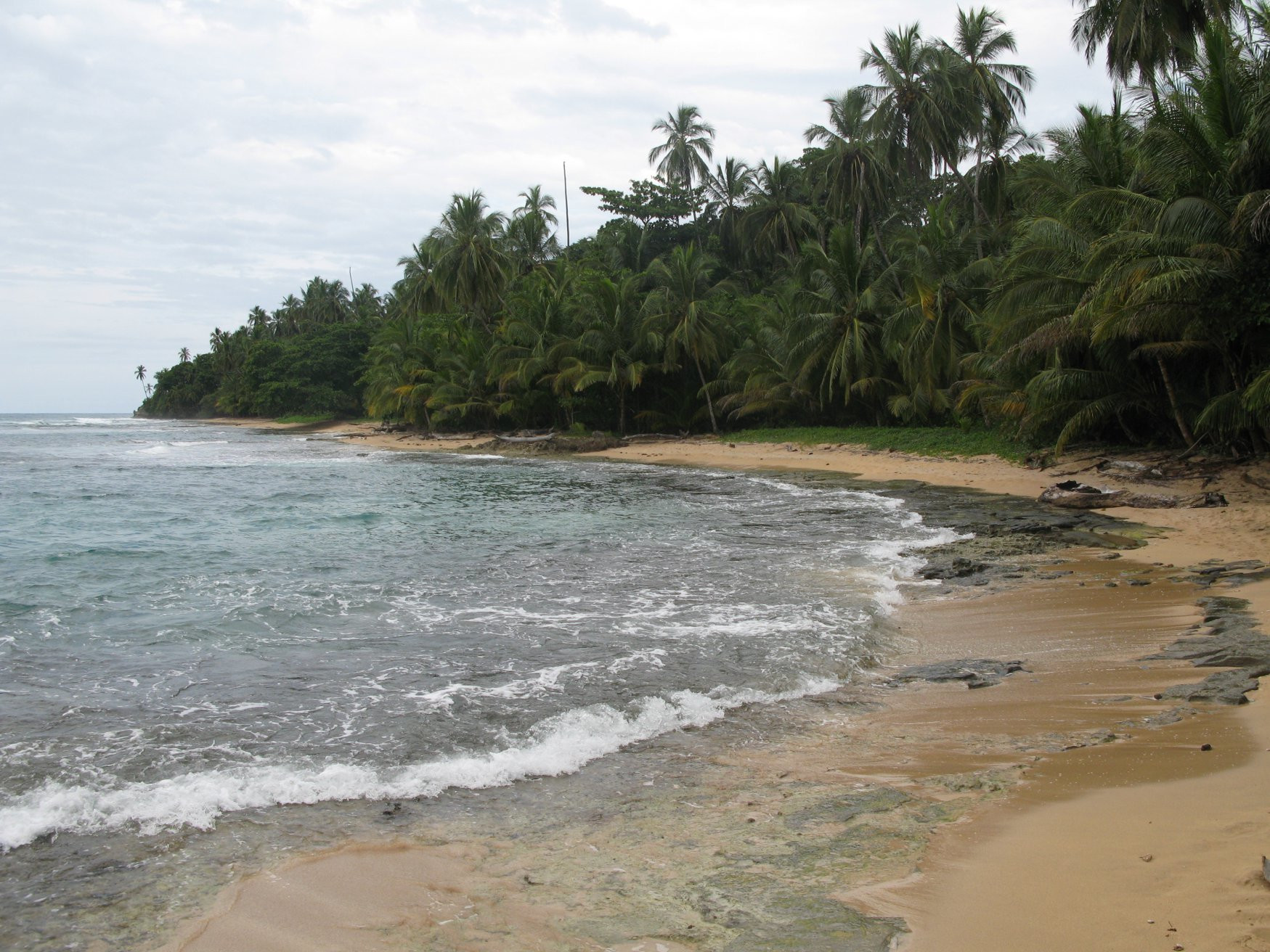 Манзанилло, Лимон провинция, Коста-Рика, фото № 40133 – фотографии Коста-Рики