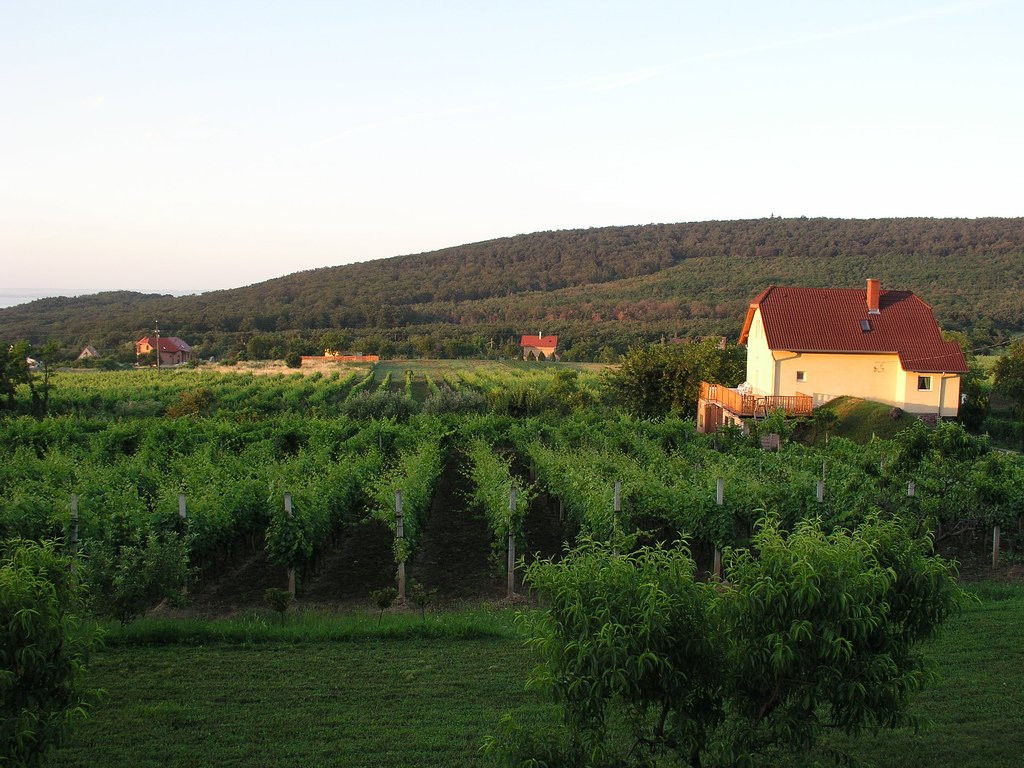 Балатональмади, Балатон озеро, Венгрия, фото № 69726 – фотографии Венгрии