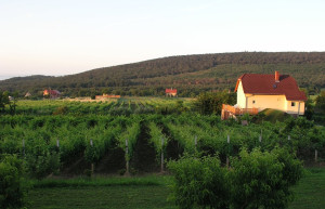 Балатональмади, Балатон озеро, Венгрия, фото № 69726 – фотографии Венгрии