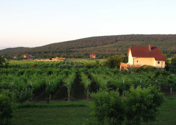 Балатональмади, Балатон озеро, Венгрия, фото № 69726 – фотографии Венгрии