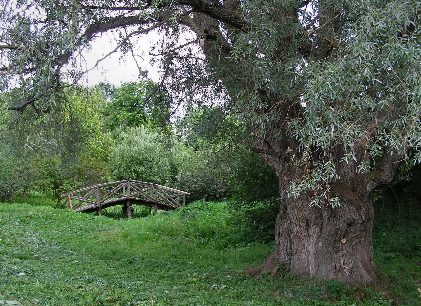 Природа в Большое Болдино, Россия – фотографии России