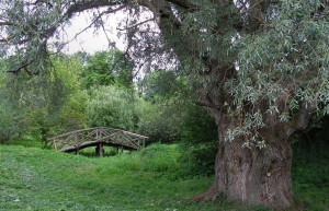 Природа в Большое Болдино, Россия – фотографии России