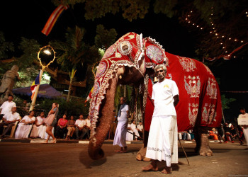 Фестиваль Эсала Перехера (Esala Perahera) – фотографии Шри-Ланки