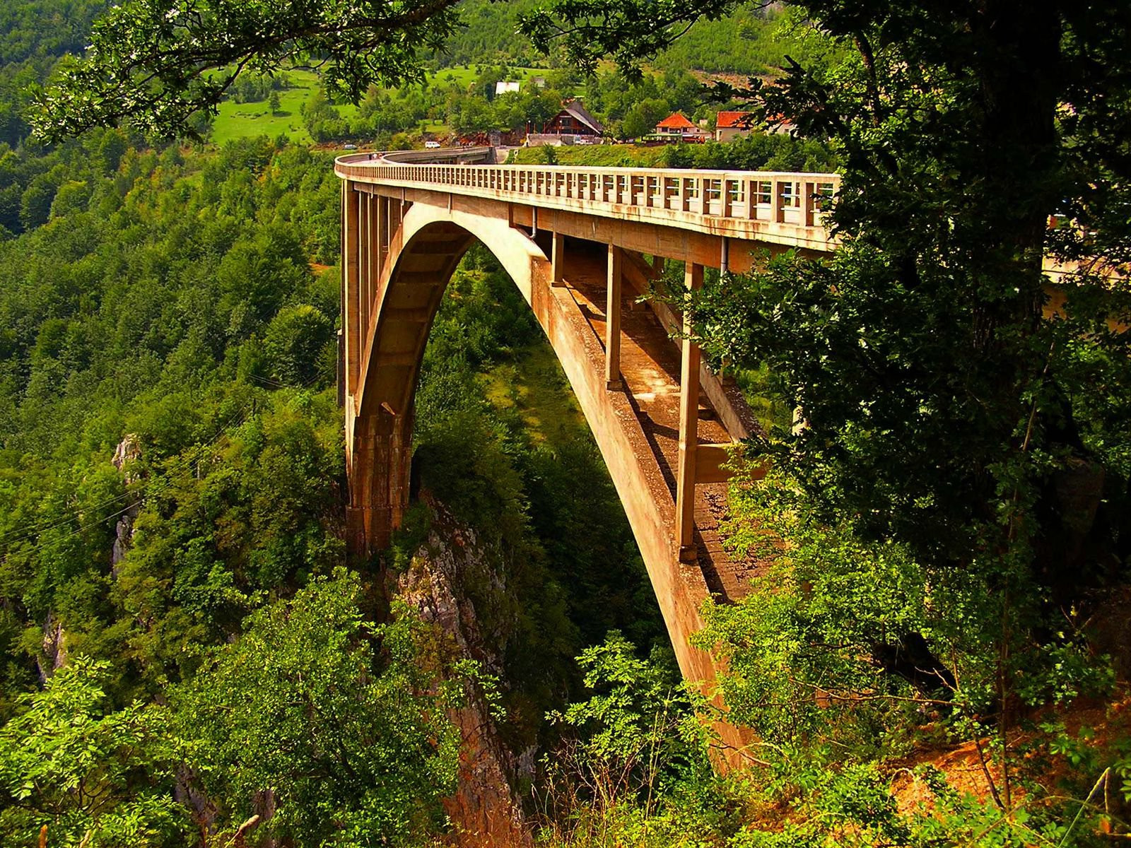 Тара Каньон – фотографии Черногории