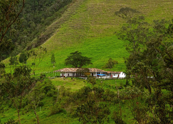 Долина Кокора на западе в Колумбии. Фото 5 – фотографии Колумбии