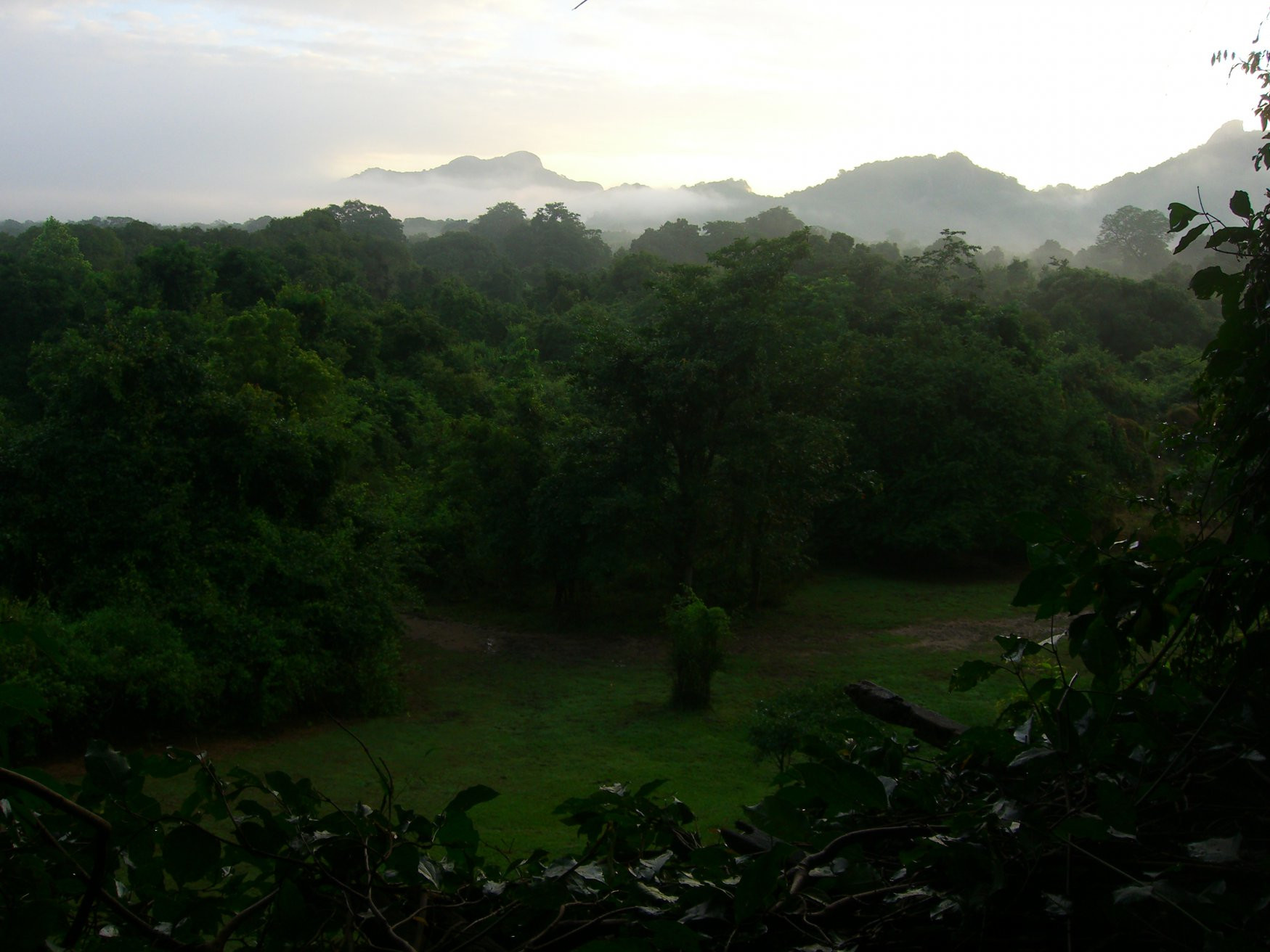 Кандалама, Шри-Ланка, фото № 51291 – фотографии Шри-Ланки