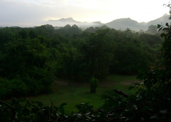 Кандалама, Шри-Ланка, фото № 51291 – фотографии Шри-Ланки