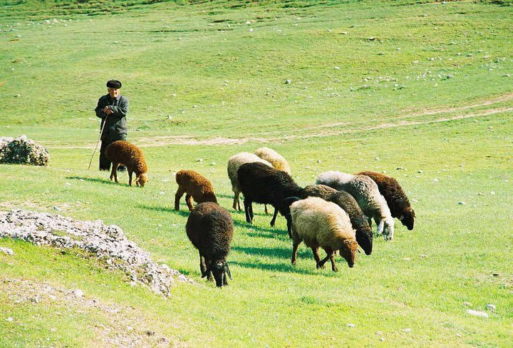 Туркестан, Казахстан, фото № 67604 – фотографии Казахстана