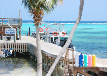 На берегу Литтл-Каймана – фотографии Каймановых островов