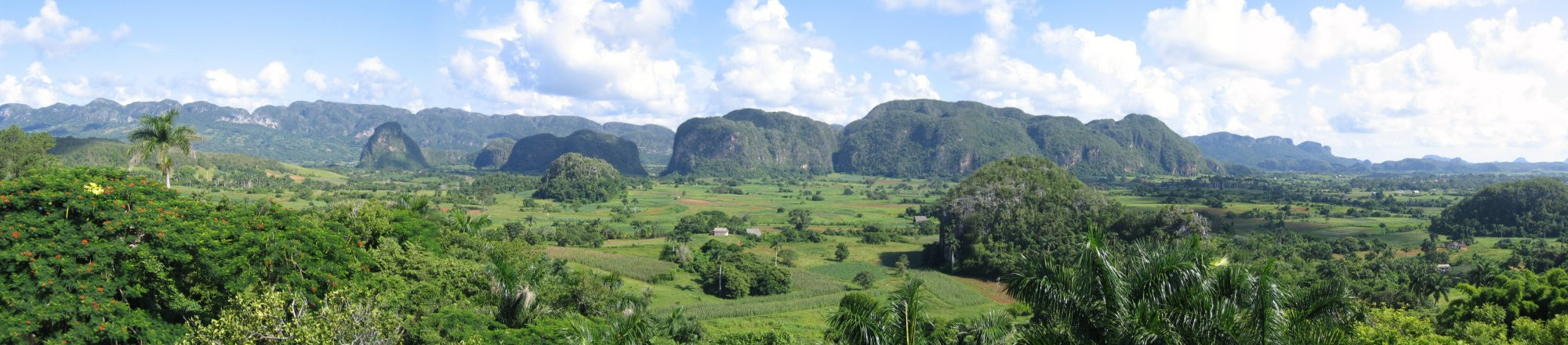 Природа в Пинар дель Рио провинция, Куба. Фото 23 – фотографии Кубы