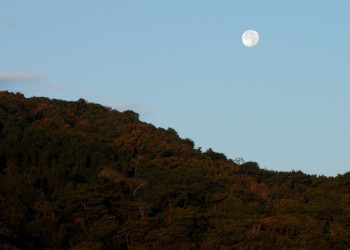 о.Кокос, Пунтаренас провинция, Коста-Рика, фото № 40862 – фотографии Коста-Рики