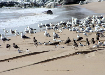 Мусандам, Оман, фото № 78096 – фотографии Омана