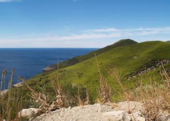 Берега на острове Млет, Хорватия. Фото 14 – фотографии Хорватии