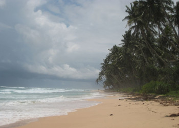 Галле, Шри-Ланка, фото № 50939 – фотографии Шри-Ланки
