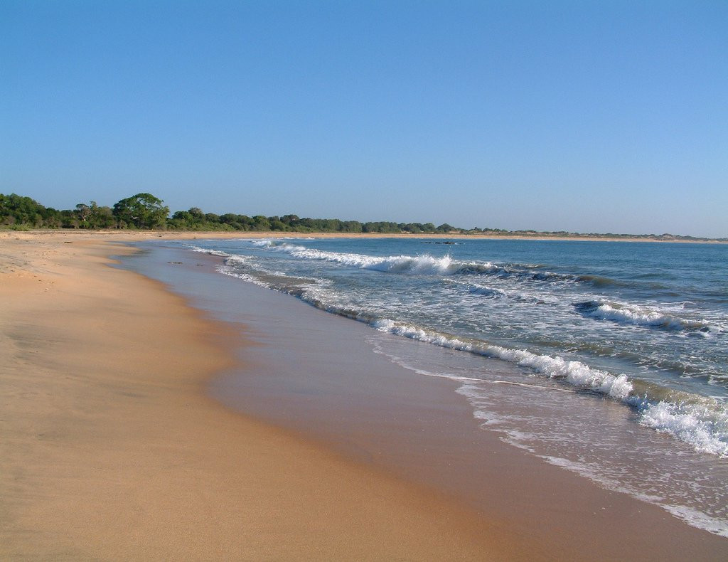 Яла Национальный Парк, Шри-Ланка, фото № 52684 – фотографии Шри-Ланки