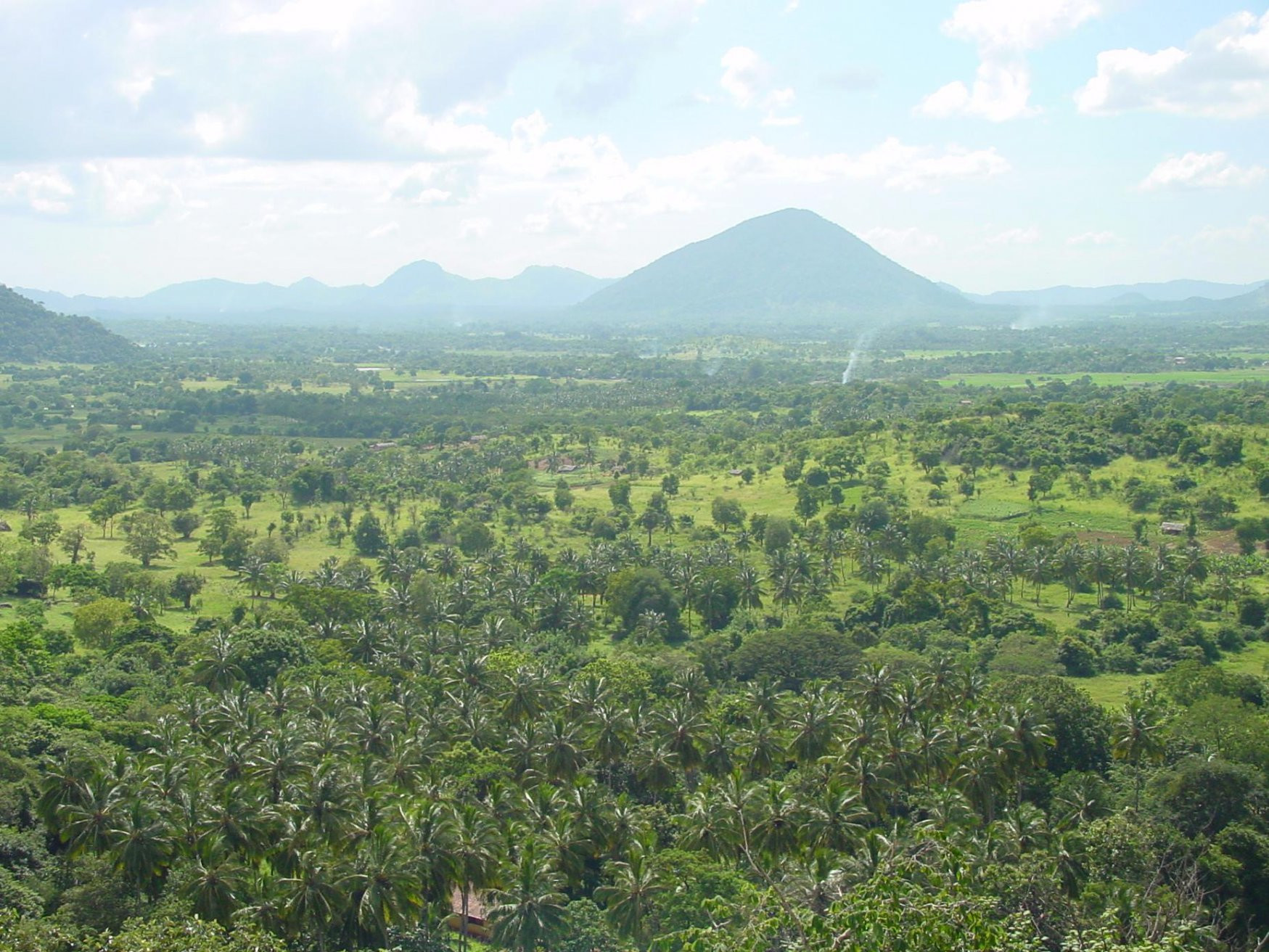 Дамбулла, Шри-Ланка, фото № 51033 – фотографии Шри-Ланки