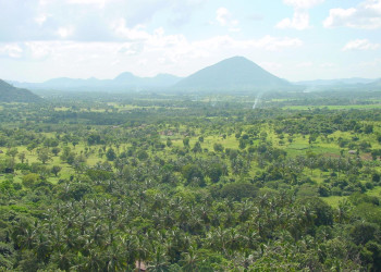 Дамбулла, Шри-Ланка, фото № 51033 – фотографии Шри-Ланки