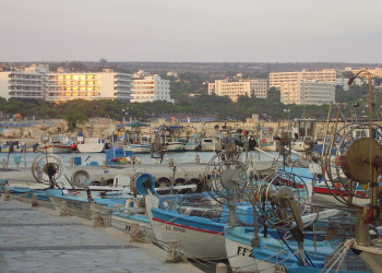 Айя-Напа, Кипр, фото № 37463 – фотографии Кипра