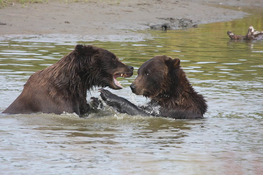 Аляска штат, США, фото № 67698 – фотографии США