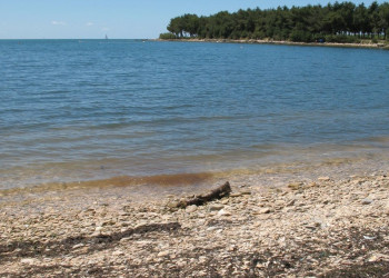 Пляж в Новиграде, Хорватия. Фото 3 – фотографии Хорватии