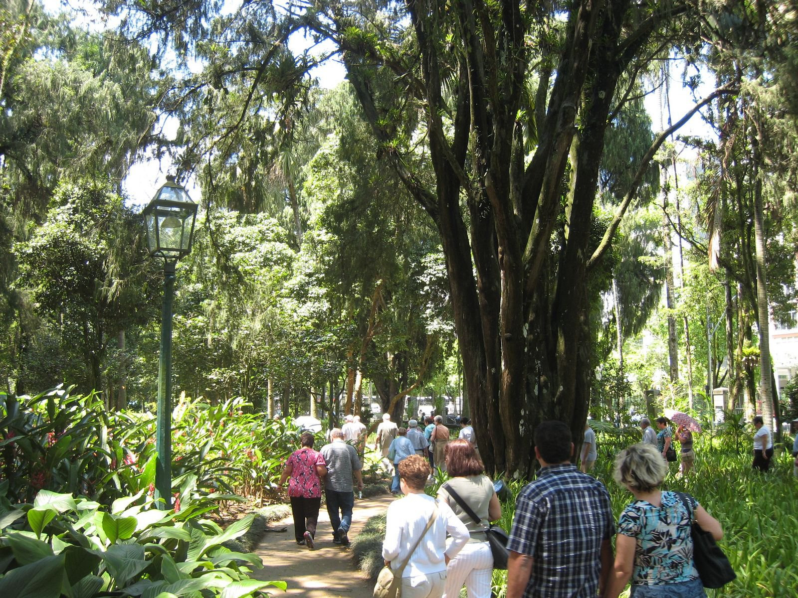 Петрополис, Бразилия, фото № 59815 – фотографии Бразилии