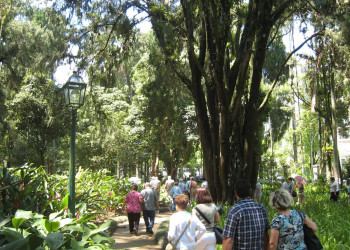 Петрополис, Бразилия, фото № 59815 – фотографии Бразилии