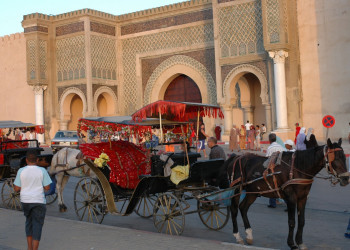 Мекнес, Марокко, фото № 7783 – фотографии Марокко