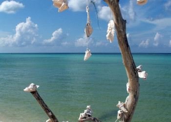 Косумель остров, Мексика, фото № 43892 – фотографии Мексики