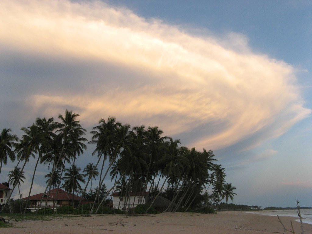 Тангалле, Шри-Ланка, фото № 52366 – фотографии Шри-Ланки