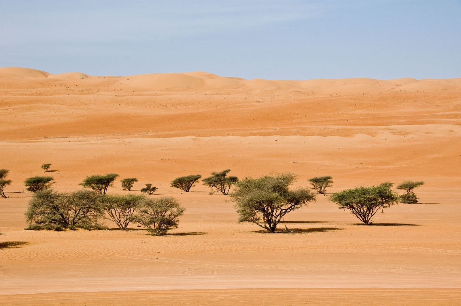 Оман, фото № 5761 – фотографии Омана