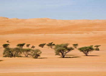 Оман, фото № 5761 – фотографии Омана