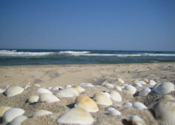 Албена, Болгария, фото № 26413 – фотографии Болгарии