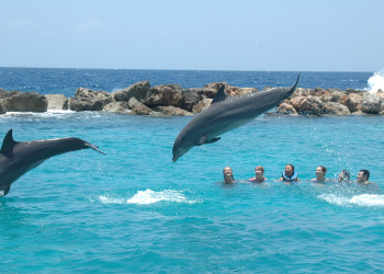 noon-blue-sw – фотографии Кюрасао