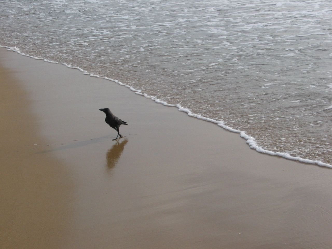 Маунт Лавиния, Шри-Ланка, фото № 51797 – фотографии Шри-Ланки