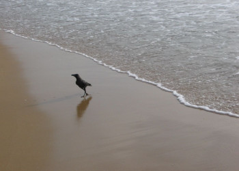 Маунт Лавиния, Шри-Ланка, фото № 51797 – фотографии Шри-Ланки