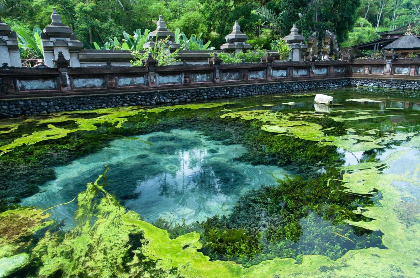 Святой источник Tirta Empul, Бали. Фото 3 – фотографии Индонезии
