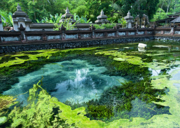 Святой источник Tirta Empul, Бали. Фото 3 – фотографии Индонезии