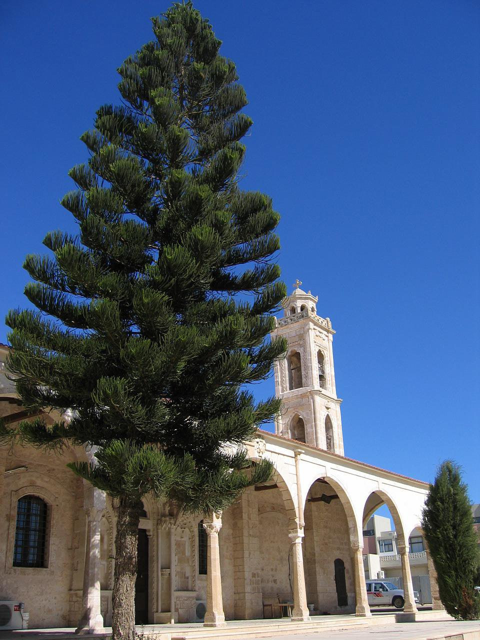 Паралимни, Кипр, фото № 38422 – фотографии Кипра