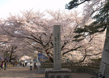 Nagoya – фотографии Японии