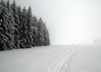 Есеник, Чехия, фото № 68765 – фотографии Чехии