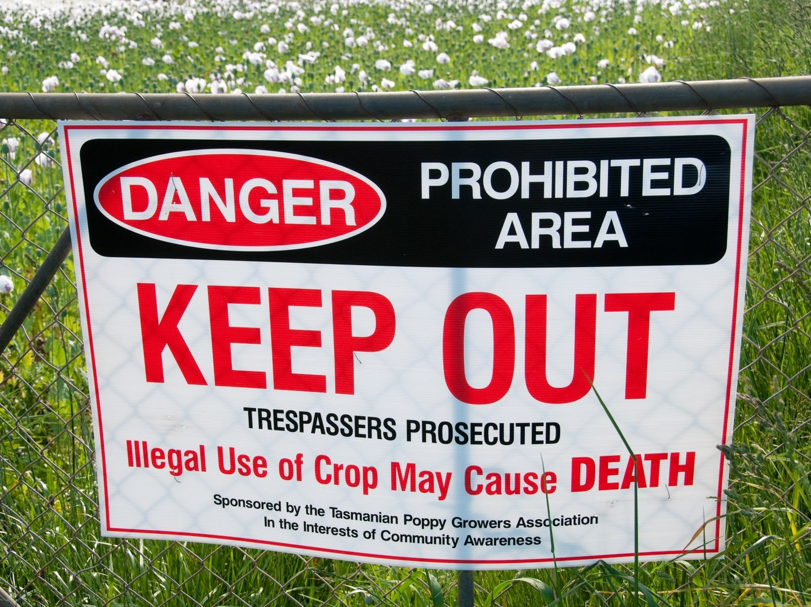 Тасмания. Фото 1 – фотографии Австралии