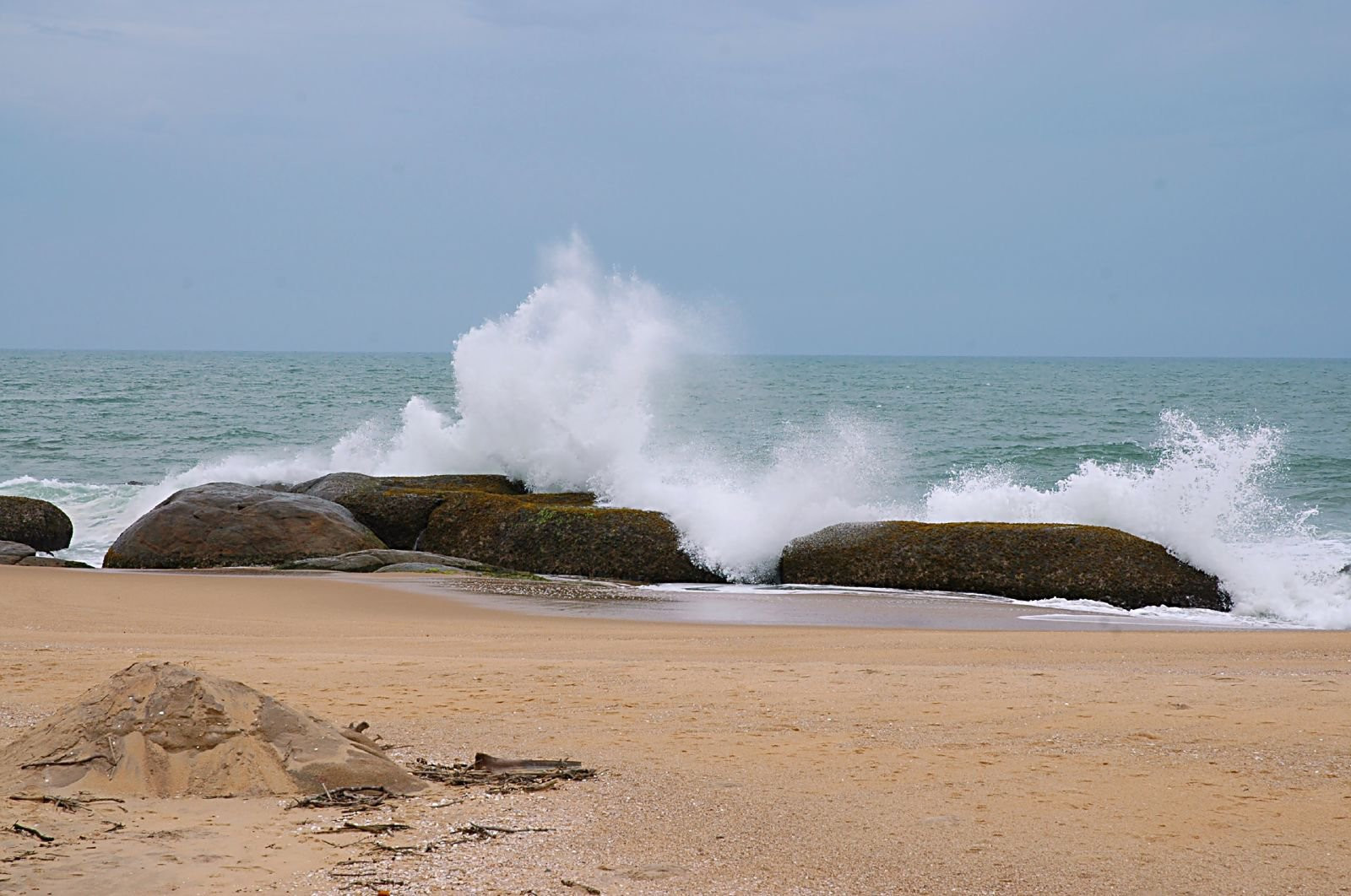 Яла Национальный Парк, Шри-Ланка, фото № 52650 – фотографии Шри-Ланки