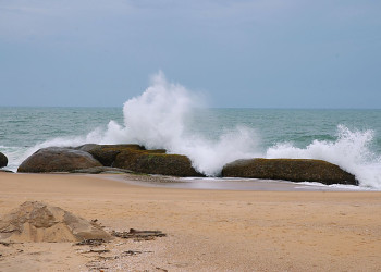 Яла Национальный Парк, Шри-Ланка, фото № 52650 – фотографии Шри-Ланки