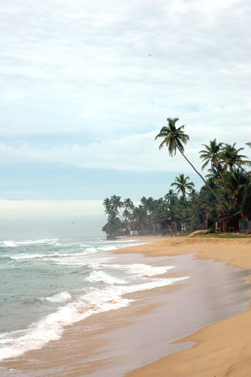 Хиккадува, Шри-Ланка, фото № 52549 – фотографии Шри-Ланки