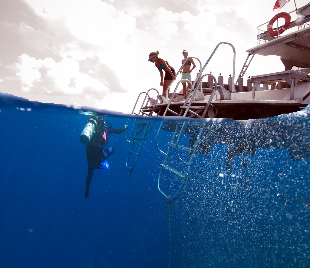Дайвинг у Литтл-Каймана, Каймановы острова – фотографии Каймановых островов